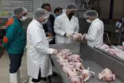 بازرسی بهداشتی بیش از 3 میلیون و 700 هزار  قطعه مرغ گوشتی در کشتارگاه طیور گناباد